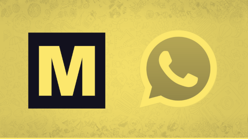 No one is reviewing or censoring the content of your WhatsApp messages: 11 questions and answers
