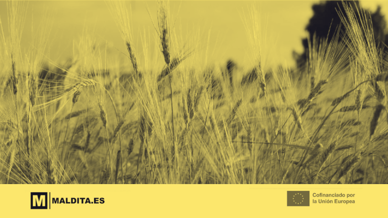 Maldita.es launches a new project to tackle disinformation about agriculture, food and rural areas